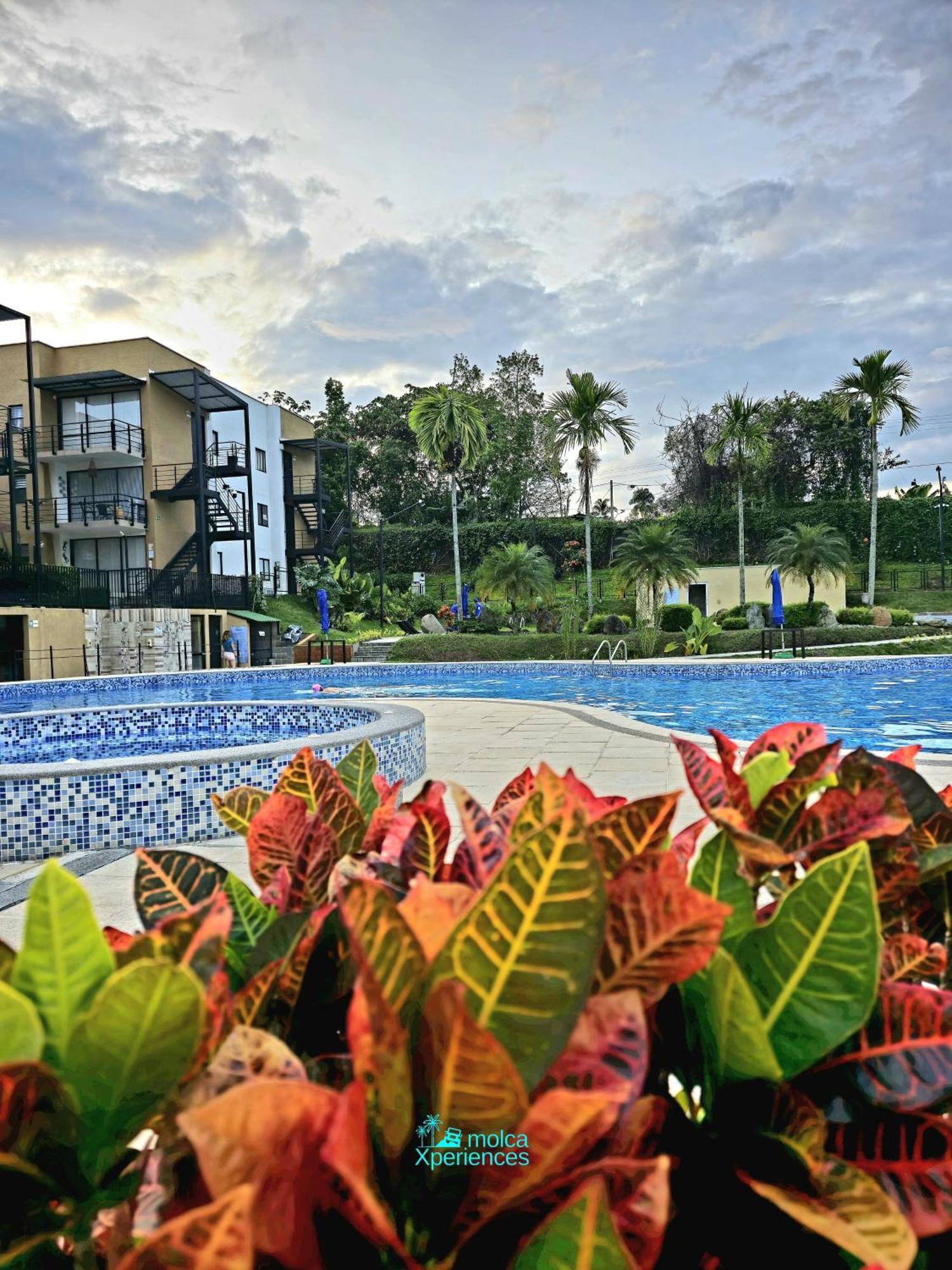 Apartamento Privado Vacacional A 5M Del Aeropuerto, 20 Minutos Del Parque Del Cafe Y Centro De Armenia Con 4 Piscinas, 3 Jacuzzi, Sauna By Molca Xperiences 3H Экстерьер фото