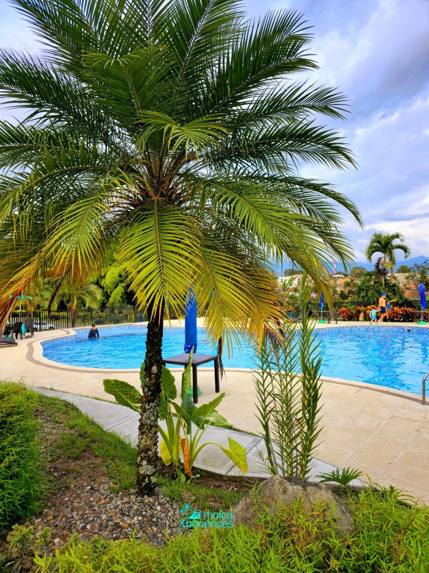 Apartamento Privado Vacacional A 5M Del Aeropuerto, 20 Minutos Del Parque Del Cafe Y Centro De Armenia Con 4 Piscinas, 3 Jacuzzi, Sauna By Molca Xperiences 3H Экстерьер фото